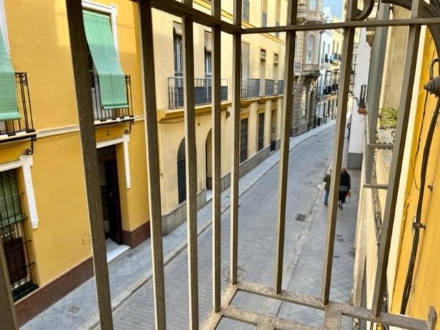 Ti1 Estiloso Loft 120m De La Catedral Tomas De Ibarra Street Appartement *